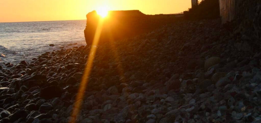 8c684380-188c-407b-b5db-939212073a69