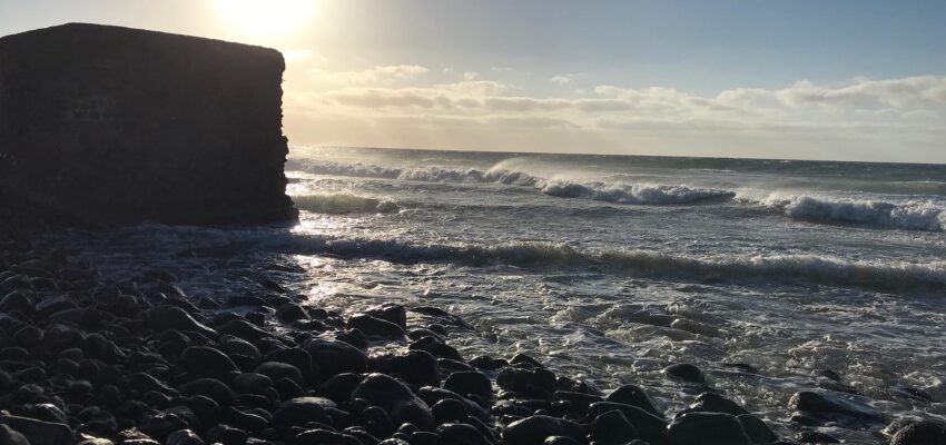 315A1DC0-6ACF-489E-9A35-55692E4C478F